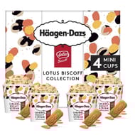 Haagen-Dazs speculoos caramel biscuit & cream 4x95ml 324g