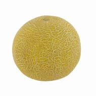 Melon galia pièce