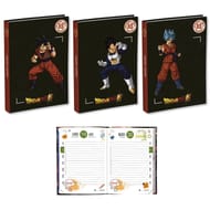 Agenda scolaire 12X17 1J/P ECKO