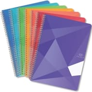 Carrefour cahier 21x29.7 cm 100 pages grands carreaux