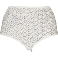 Lot de 2 culottes fantaisie BLEU (NX 2024) T58\60