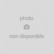Apple airpods pro 2 mgsafe