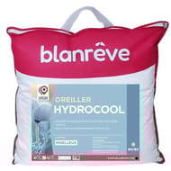 Blanreve oreiller hydrocool 60x60cm