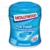 Hollywood ice fresh parfum menthe fraîche x62
