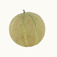 Melon petit pièce