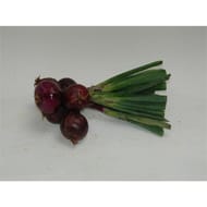 Le Potager de Marie Line oignon rouge botte bio