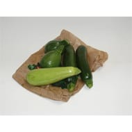 Le Potager de Marie Line courgette bio