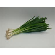 Oignon blanc bio la botte