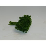 Persil frise bio la botte