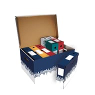 Lot container + 6 boites archives couleurs