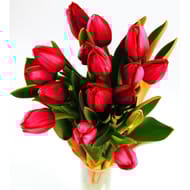 15 tulipes rouges Carrefour