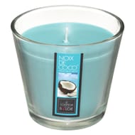 Bougie parfumée coco Nina dans verre 190 g