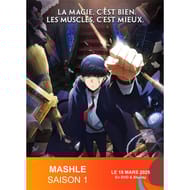 Blu ray mashle saison 1
