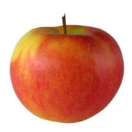 Pomme fuji vrac