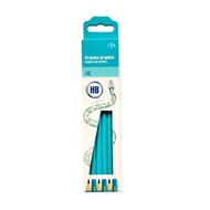 CARREFOUR  12 CRAYONS GRAPHITE HB carrefour  12 crayons graphite hb