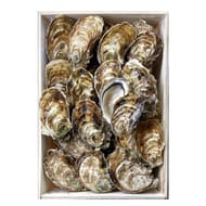 Huîtres de Bouzigues Bassin de Thau N°2 FILIERE QUALITE CARREFOUR la bourriche de 24 huîtres