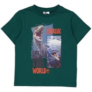 Tee shirt manches courtes licences garçon VERT JURASSIC 12 ANS
