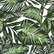 Adhésif house plants 45 cm x 2 mètres