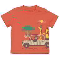 Tee shirt manches courtes garçon SAFRAN 24MOIS