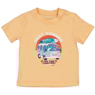 Tee shirt manches courtes garçon MELON 36MOIS