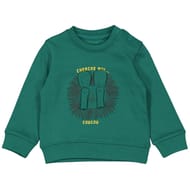 Sweat manches longues garçon SAPIN 24MOIS