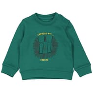 Sweat manches longues garçon SAPIN 36MOIS
