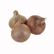 Oignon Roscoff aop filet 500g reflets de France