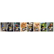 Lecas calendrier ephemeridev wild 17x25 1j/page 2024 assorti