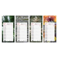 Lecas calendrier mensuel long 16x33,3 1 mois par page 2024 assorti