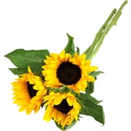 Bouquet de 3 tournesols