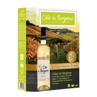 Cave d'Augustin Florent vin blanc AOC Côtes de Bergerac 3l