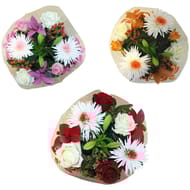 Bouquet composé sirius
