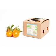 MANDARINE FEUILLE BIO BARQUETTE 750G CARREFOUR BIO