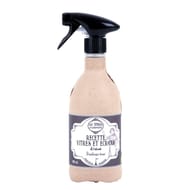 Les secrets de leontine recettes vitres et écrans spray 480ml