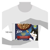 Félix sensations en gelée séléction de la campagne 12x85g