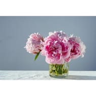 Bouquet trio pivoines roses et germinis