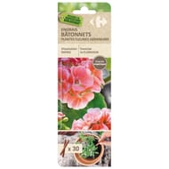 Engrais bâtonnets 5-3-5 UAB Géraniums et Plantes fleuries 30*0.7g=21g Carrefour