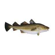 Cabillaud skrei