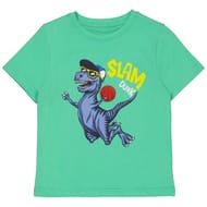 Tee-shirt garçon GREEN 10 ANS