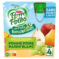 Pom'Potes compotes gourdes les p'tits explorateurs les pharaons 4x90g