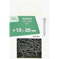 Pointe à tête plate 1.5x25mm 120g