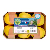 Pomme golden fqc barquette 6 fruits