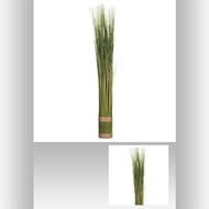 Fagot d'herbe h79xd8cm