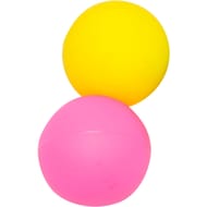 Filet 2 balles de beach ball