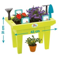 Jardinière garnie