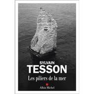 Sylvain Tesson - Les piliers de la mer