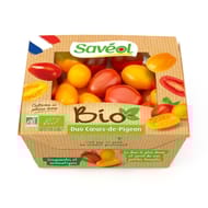 Tomate coeur de pigeon duo bio 250g