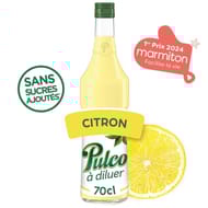 Pulco citron  70cl