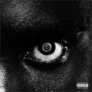 Vinyle damso lithopedion
