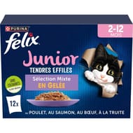 Felix tendres effilés junior 12x85g - 1020g